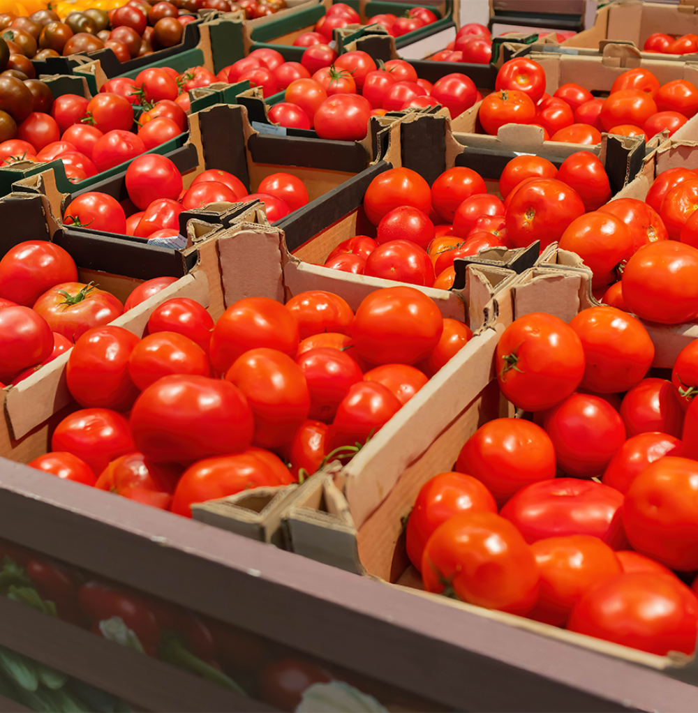 تصميم بدون عنوان (4)